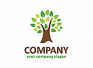 Menschen Logo, Blatt Logo, Baum Logo, Firma Logo, Unternehmen Logo, Beratung Logo, Logo, Grafikdesign, Design, Branding