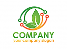 Grn Logo, Blatt Logo, Bio Logo, Firma Logo, Unternehmen Logo, Beratung Logo, Logo, Grafikdesign, Design, Branding