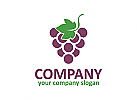 Trauben, Wein, Obst, Weinberg, Getränk, Logo