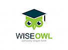 Eule Logo, Weisheit Logo, Schule Logo, Bildung Logo