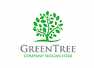 Grn, ko, Baum, Logo