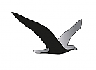 Zeichnung, zweifarbig, Zeichnung, Vogel, Seevogel, Adler, Logo