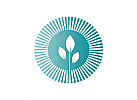ko, Zeichen, Natur, Pflanze, Logo