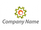 Ökologisch, Blume, Stern, Logo
