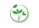 ko Zeichen, Zeichnung, Pflanze, Natur, Heilpraktiker, Logo