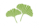 Ökologisch, Zeichen, Natur, Blatt, Ginkgo, Logo