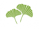 kologisch, Zeichen, Natur, Blatt, Ginkgo, Logo