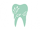 Zahn, Bltter, Natur, Zahnarztpraxis, Logo