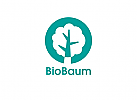 ko, Bio, Baum, Logo