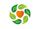 Natur Logo, Herz Logo, Fruchte Logo, Bltter Logo