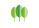 Logo Bume, Landschaftsbau