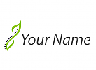 Zwei Bltter und Wirbelsuele, Ortopdie, Massage, Logo