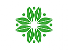 Blume Stern Logo kaufen